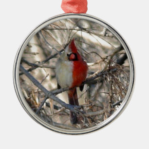 Ornement En Métal Demi de mâle d'oiseau cardinal sauvage, à moitié