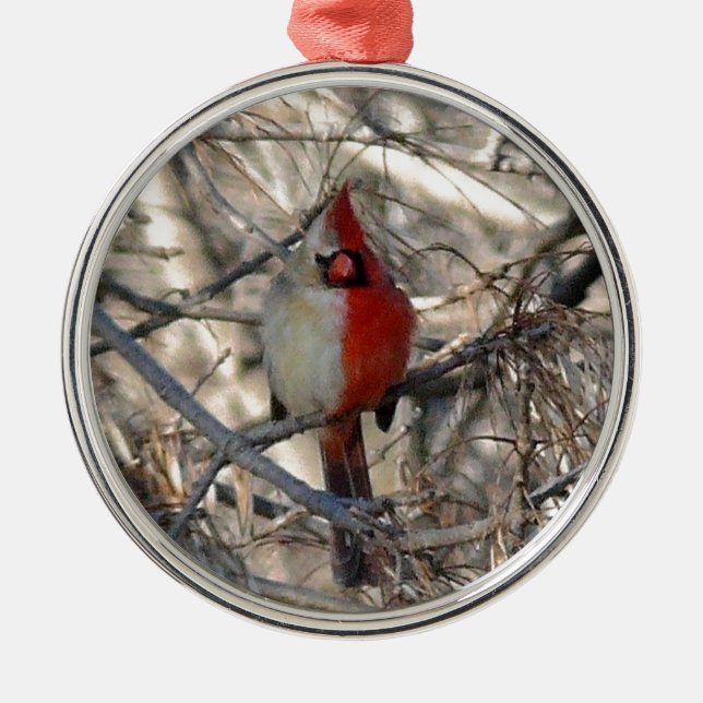 Ornement En Métal Demi de mâle d'oiseau cardinal sauvage, à moitié (Devant)