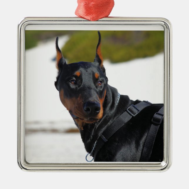 Ornement En Métal Doberman - Noir - Bogie (Devant)