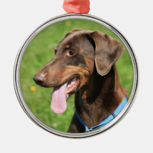 Ornement En Métal Dobermann rouge