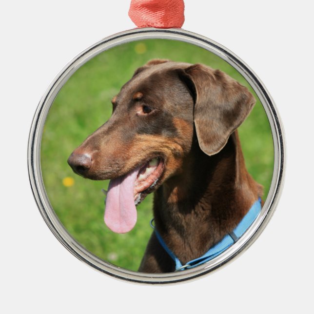 Ornement En Métal Dobermann rouge (Devant)