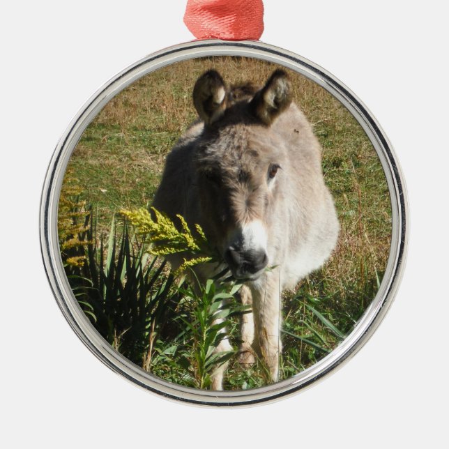 Ornement En Métal Donkey picking yellow Autumn (Devant)