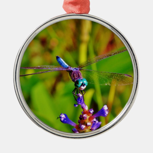 Ornement En Métal Dragonfly (Devant)