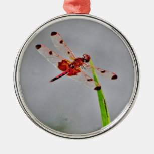 ORNEMENT EN MÉTAL DSC00029.JPG