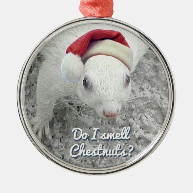 Ornement En Métal Écureuil de Noël (Devant)
