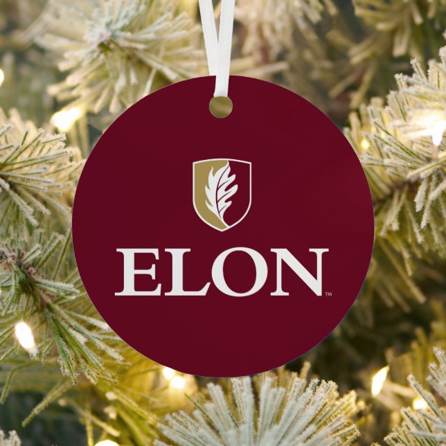 Ornement En Métal Elon (Insitu)