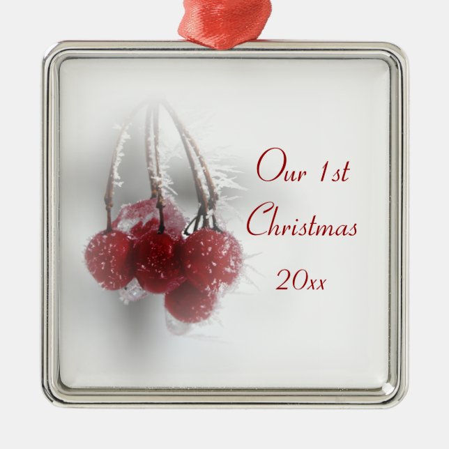 Ornement En Métal Ęr Noël de baies givrées rouges ensemble (Devant)