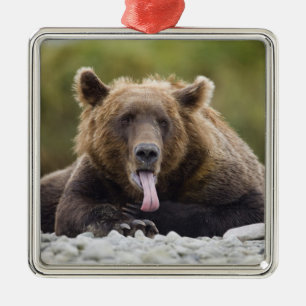 Ornement En Métal États-Unis, Alaska, Parc national de Katmai, baie 