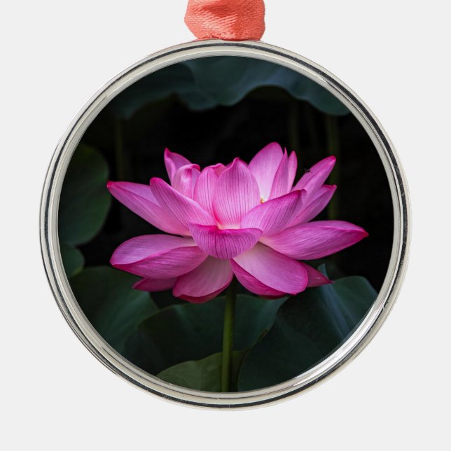 Ornement En Métal Fleur de Lotus (Devant)