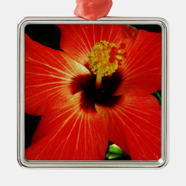 Ornement En Métal Fleur d'Hibiscus rouge-orange (Devant)
