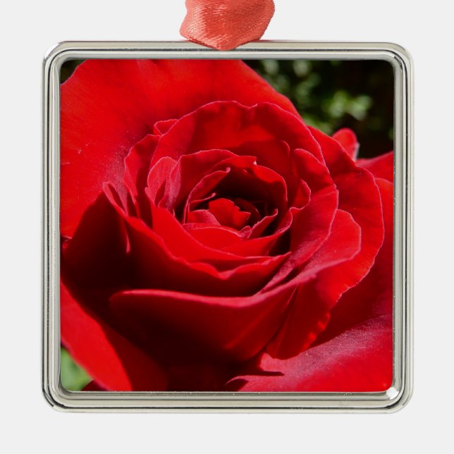 Ornement En Métal Fleur rose rouge vif Belle florale (Devant)