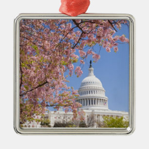 Ornement En Métal Fleurs de cerisier devant le bâtiment de capitol