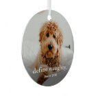 Funny Pet 2 Photo Noël