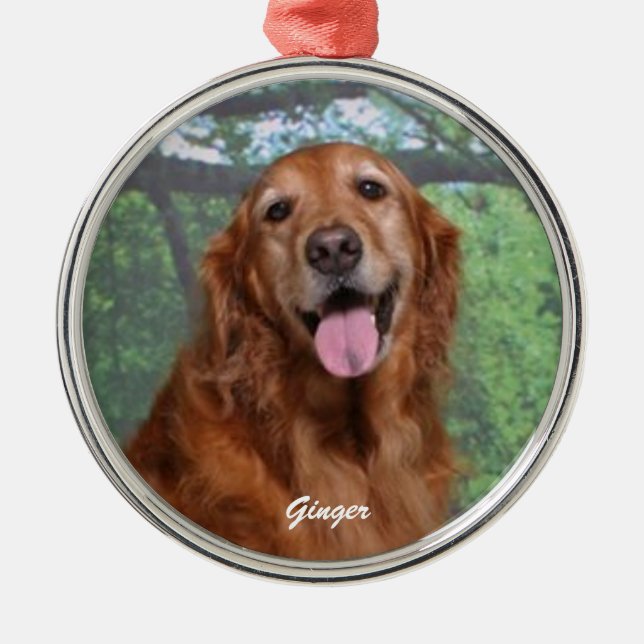 Ornement En Métal Gingembre Golden Retriever Round Orament, Custom (Devant)