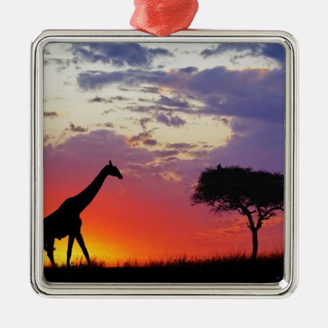 Ornement En Métal Giraffe silhouette au lever du soleil, Giraffa (Devant)
