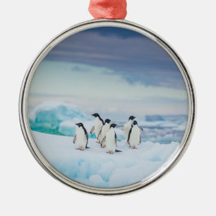 Ornement En Métal Glace et neige   Adelie Penguins Antarctique