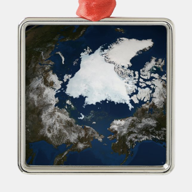 Ornement En Métal Glice marine arctique (Devant)