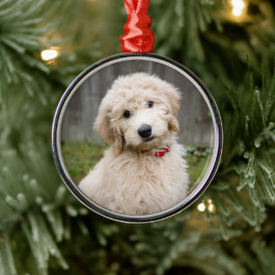 Ornement En Métal Goldendoodle Puppy Se Trouve Dans L'Herbe