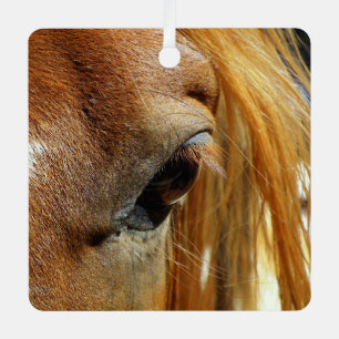 Ornement En Métal Gros plan sur l'oeil d'un cheval