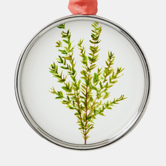 Ornement En Métal Herbes de thym Herbes botaniques (Devant)