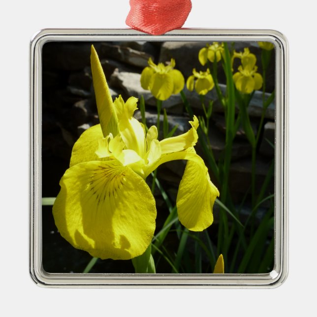 Ornement En Métal Irises Jaunes Bright Spring Floral (Devant)