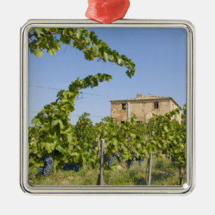 Ornement En Métal Italie, Toscane, Montepulciano. Raisins de vin prê