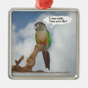 Ornement En Métal Je peux parler, peux-tu voler ?