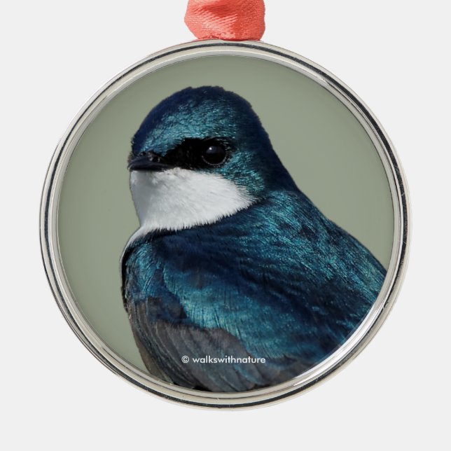Ornement En Métal Joli oiseau-chanteur bleu hirondelle (Devant)