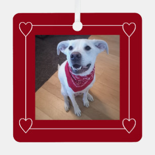 Ornement En Métal Jolie photo de chien souriant Noël rouge et blanc