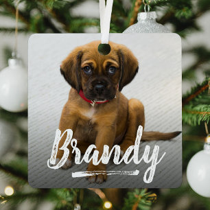 Ornement En Métal Jouer Lettering Pet Photo Noël