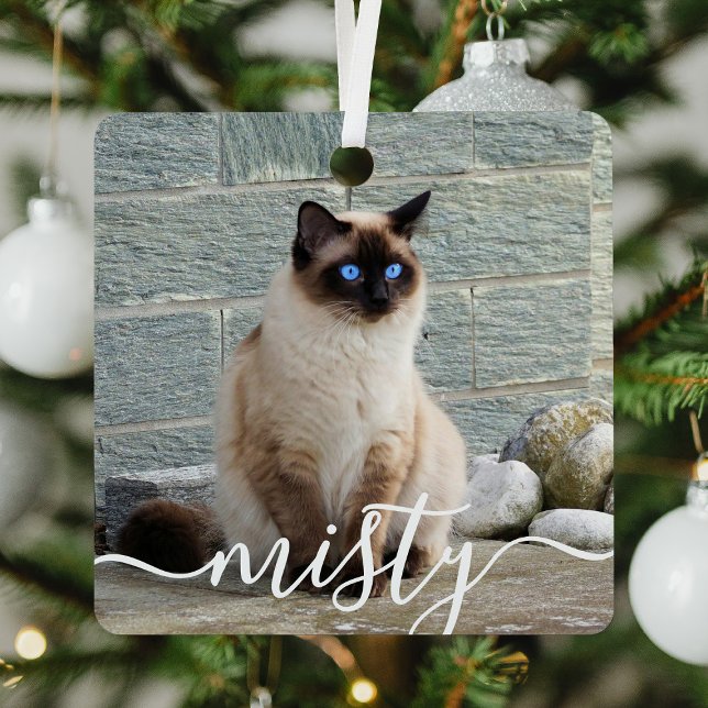 Ornement En Métal Jouer Script Pet Photo Noël (Créateur téléchargé)