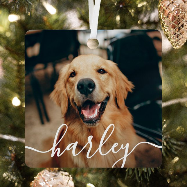 Ornement En Métal Jouer Script Pet Photo Noël (Créateur téléchargé)