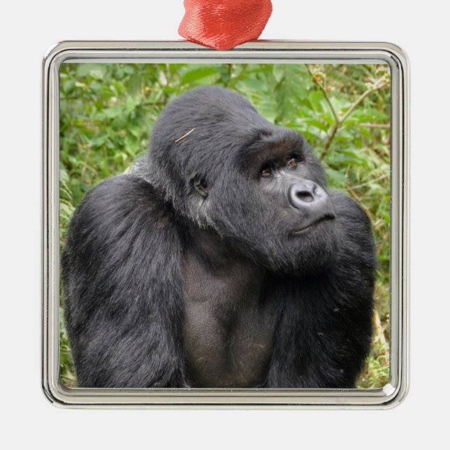 Ornement En Métal Joyeux singe (Devant)