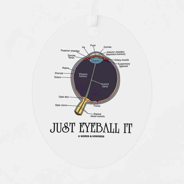 Ornement En Métal Juste Eyeball It Human Eye Anatomie Geek Conseils (Recto)