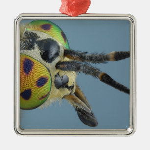 Ornement En Métal La tête des cerfs communs volent