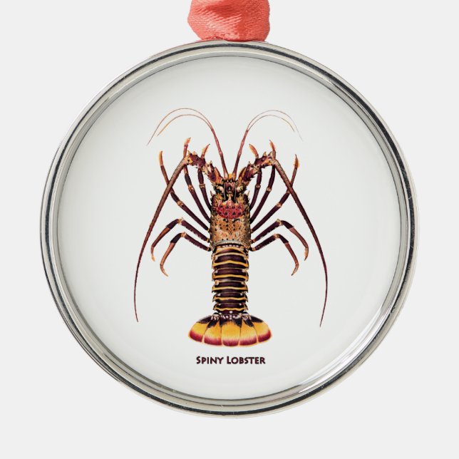 Ornement En Métal Langouste (de l'Asie et du Pacifique) (Devant)