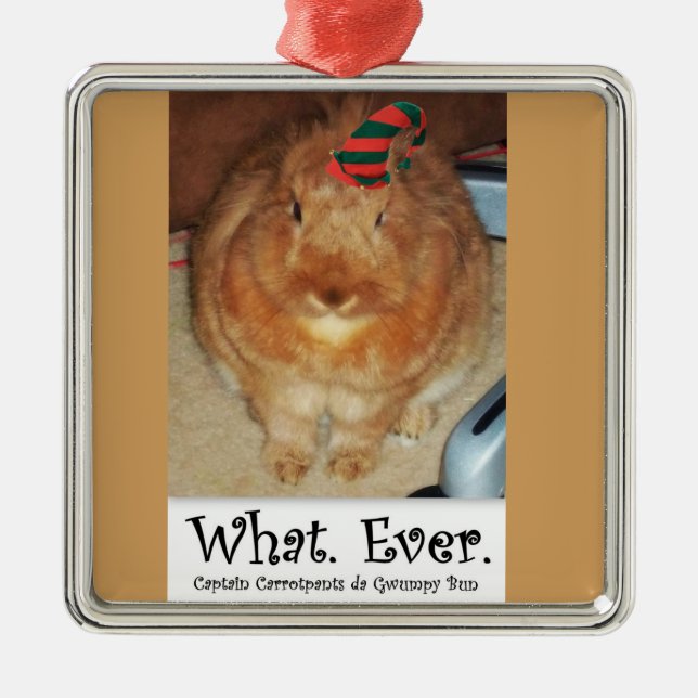 Ornement En Métal Lapin désapprobateur ce qui ornementent jamais (Devant)