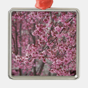 Ornement En Métal Les fleurs de cerisiers Sakura sont roses