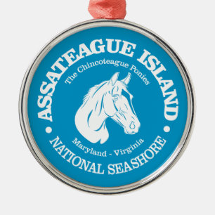 Ornement En Métal L'île d'Assateague (poney)