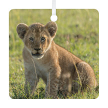 Lion Cub Personnaliser Nom Photo Noël