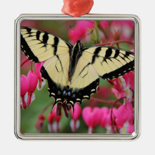 Ornement En Métal Machaon oriental