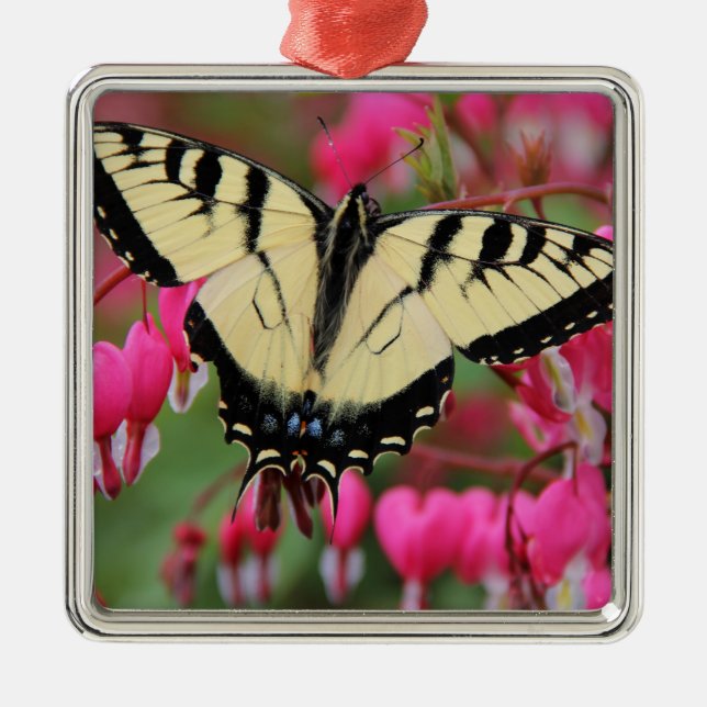 Ornement En Métal Machaon oriental (Devant)