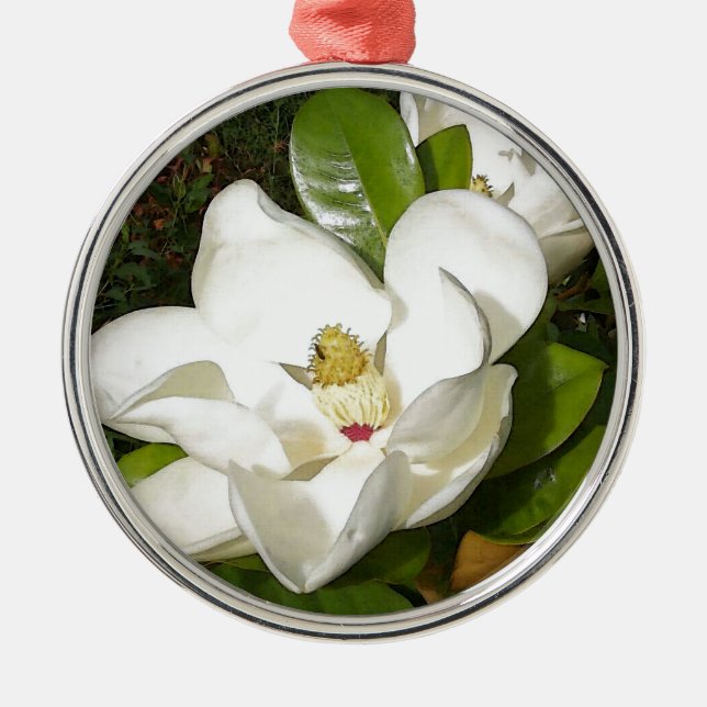 Ornement En Métal Magnolia blossom (Devant)