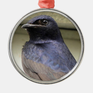 Ornement En Métal Majestic Purple Martin