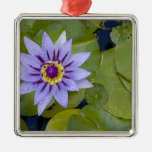 Ornement En Métal Martinique, Antilles, Antilles, Antilles, Bleu