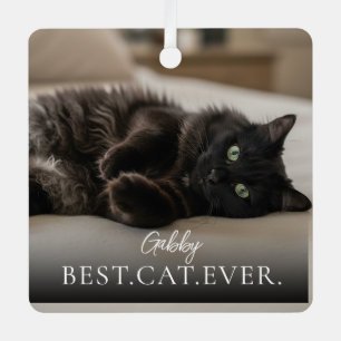 Ornement En Métal Meilleur Chat du Monde Nom de Votre Animal et Phot