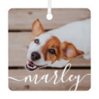 Moderne Simple Jouer Élégant Chic Pet Photo