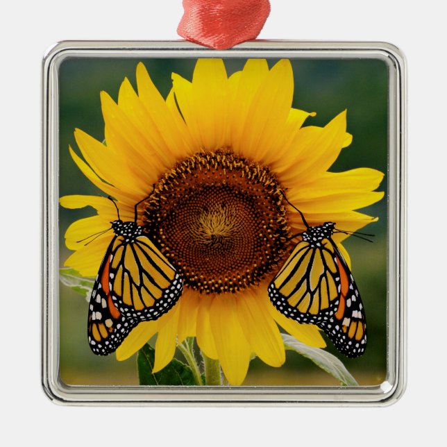 Ornement En Métal Monarque Butterfies sur le tournesol (Devant)