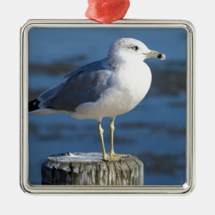 Ornement En Métal Mouette