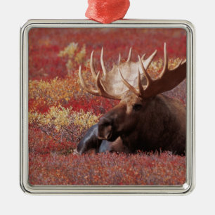 Ornement En Métal N.A., États-Unis, Alaska, Parc national de Denali,